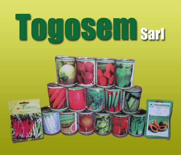 Les semences adaptées à l’environnement togolais