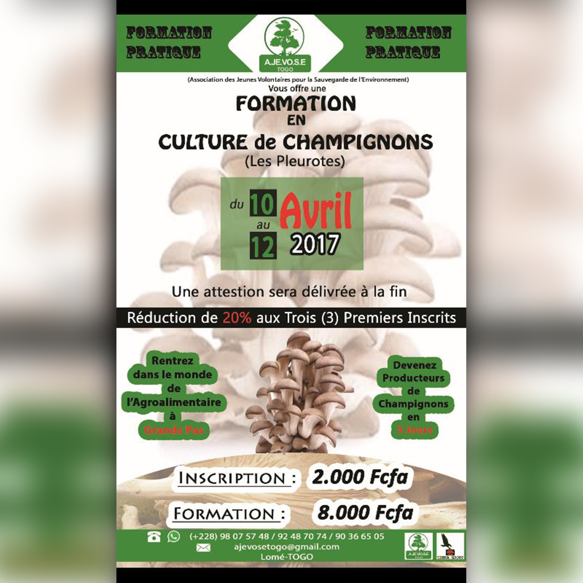 Formation en culture de champignon