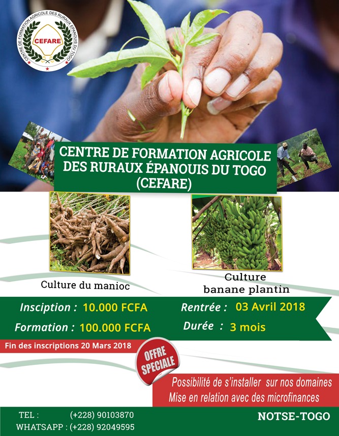 FORMATION EN CULTURE DE MANIOC ET BANANE PLANTAIN