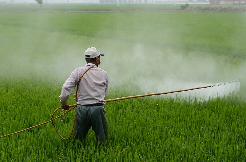 Togo/Agriculture : des experts échangent sur l’utilisation efficiente du pesticide dans l’espace CEDEAO-UEMOA