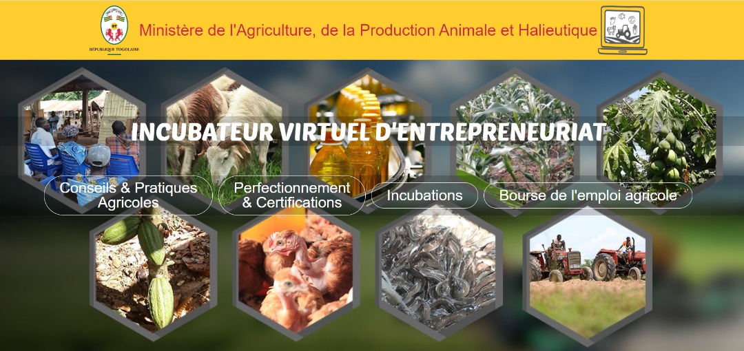 Agriculture : Ouverture des cours en ligne pour les centres de formation agricole et rural grâce à la plateforme E-learning