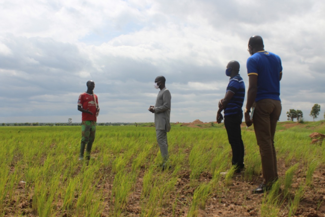 AGRICULTURE TG / CORONAVIRUS : LE GOUVERNENEMENT S’ENGAGE AUPRES DES AGRICULTEURS 