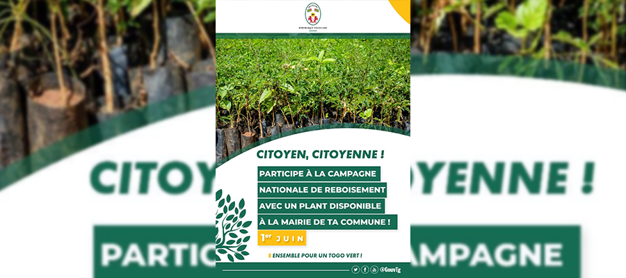 TOGO/ENVIRONNEMENT : UNE  NOUVELLE ORIENTATION POUR BOOSTER LE COUVERT FORESTIER