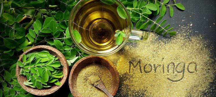 SAUCE MORINGA : Une sauce aux milles vertus !